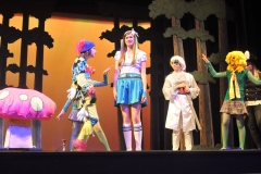 Wonderland(1)